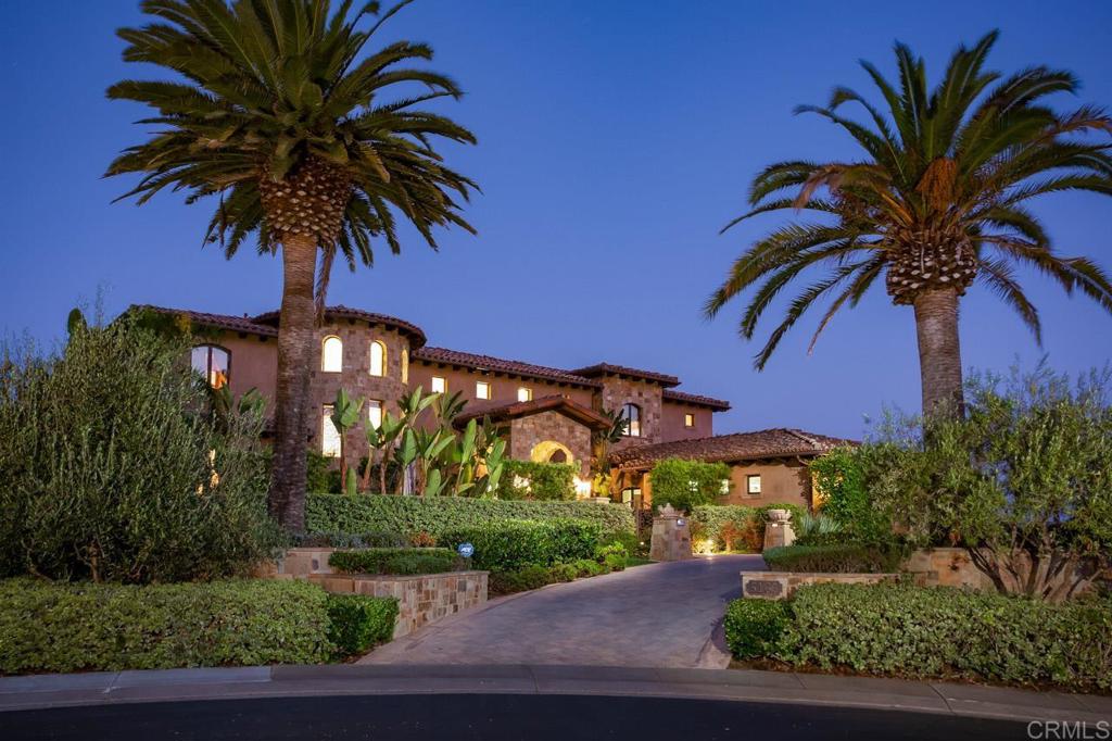 a view of a palm tree with a yard