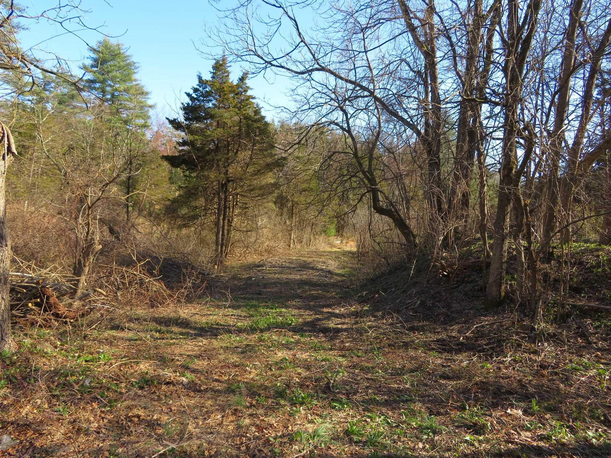 a view of a yard with trees