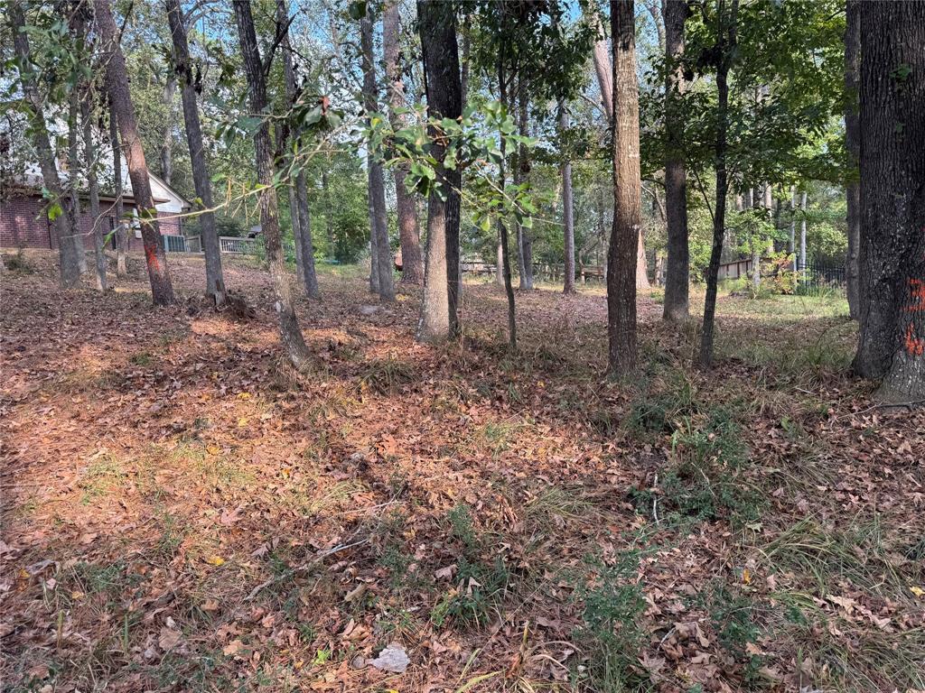 a view of outdoor space and trees