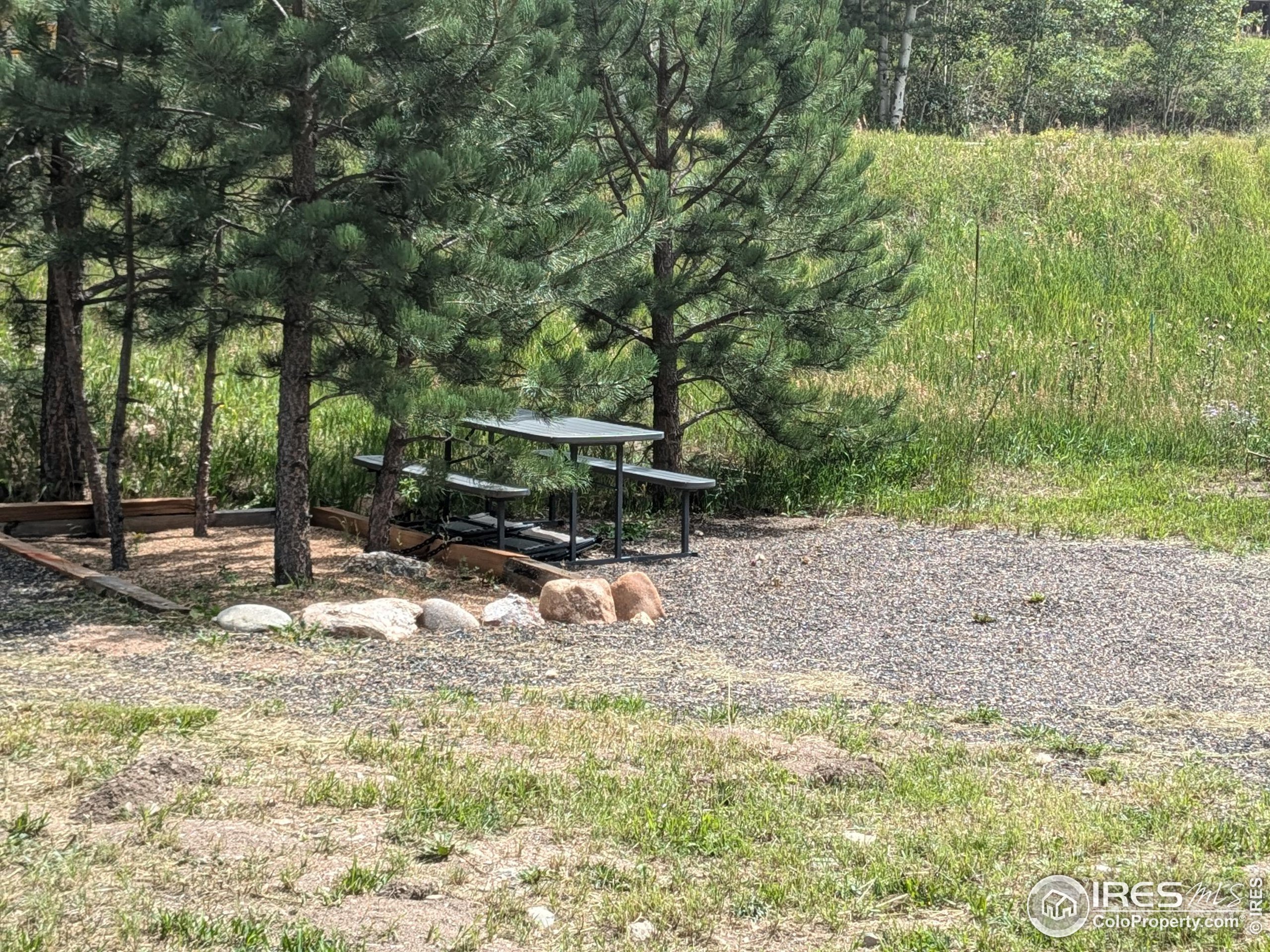 a view of backyard with wooden fence