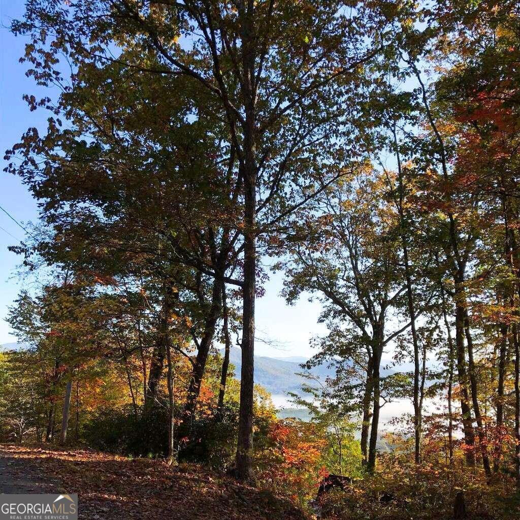 a view of mountain view with lots of tree