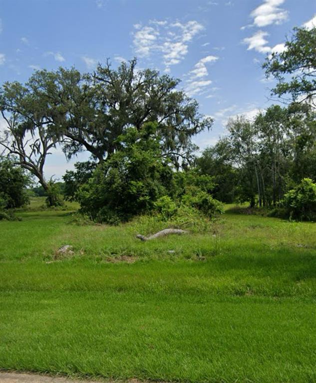 a view of a green field with lots of bushes