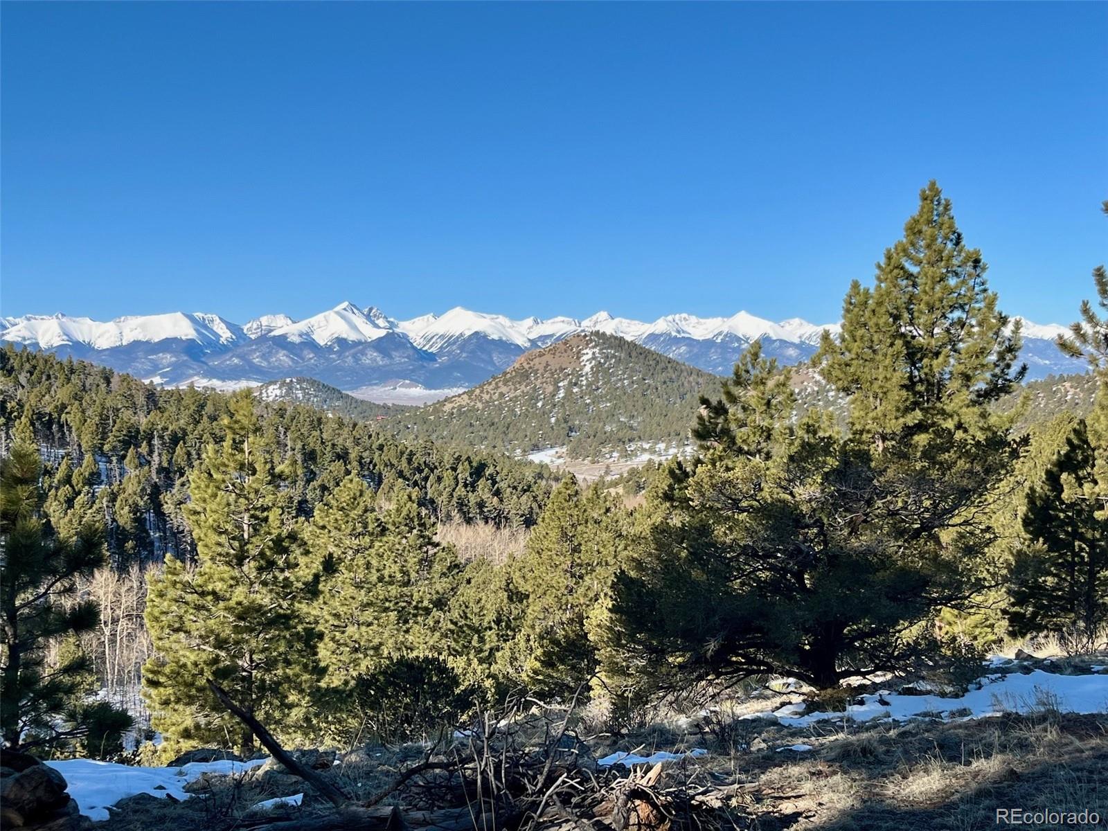 a view of a large tree with a mountain in the background