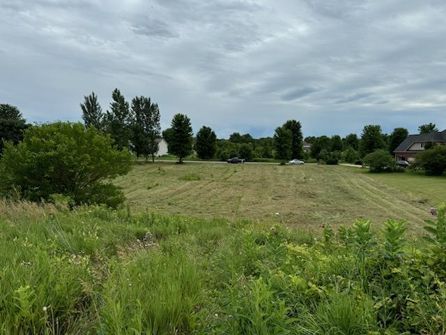 a view of a field with trees in the background