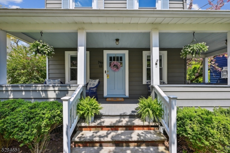 a front view of a house with lots of potted plants