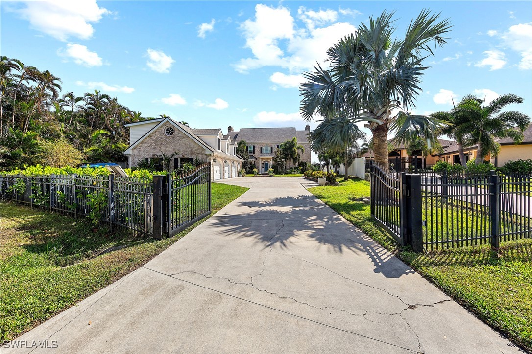 a view of a garden with palm trees