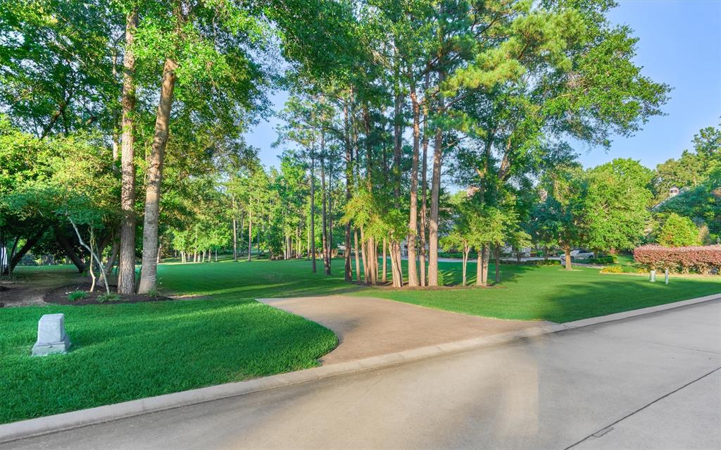 a big yard with large trees