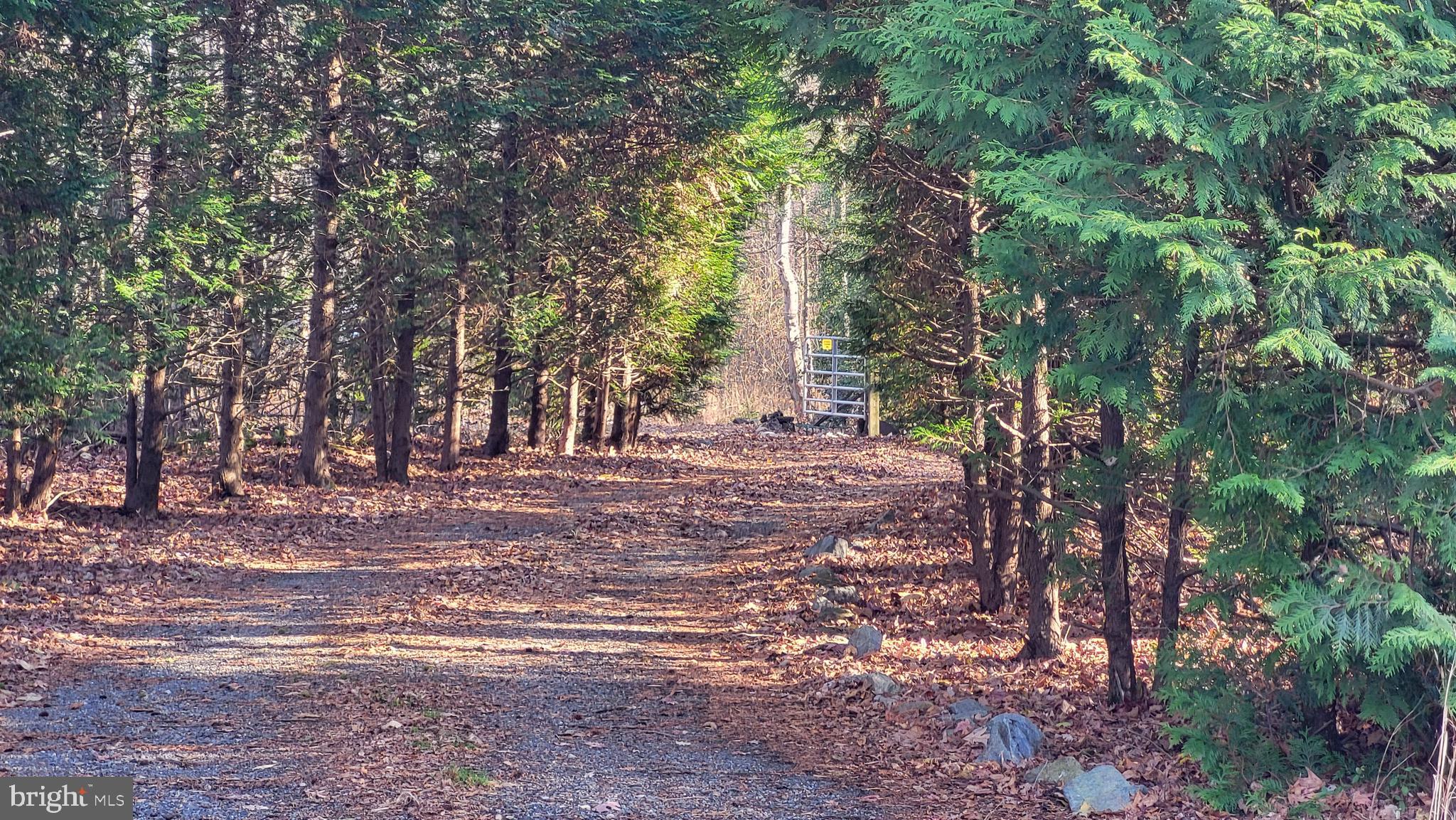 a view of outdoor space with trees