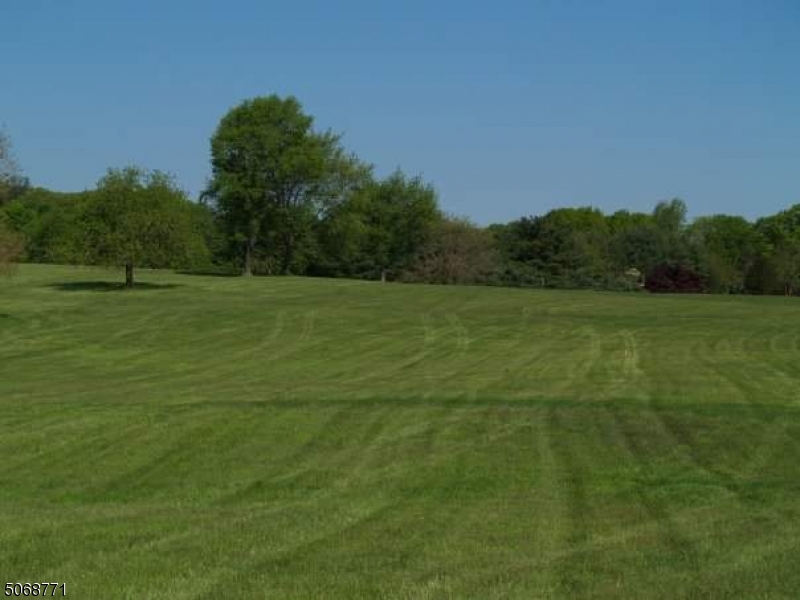 a view of field with grass and trees