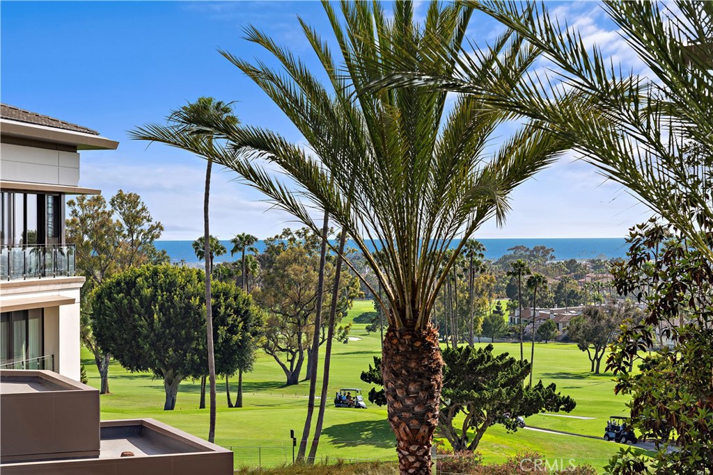 a view of a palm trees front of house with a yard