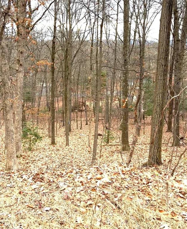 a view of wooden fence and trees