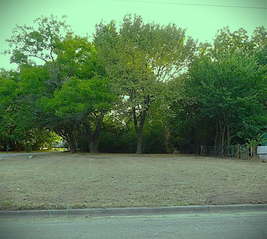 a view of a green yard