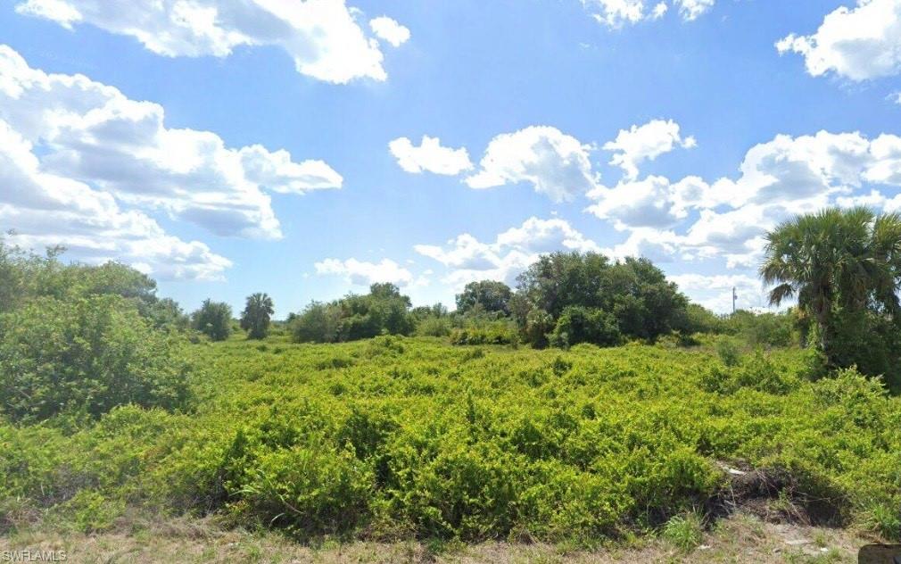 a view of a bunch of trees