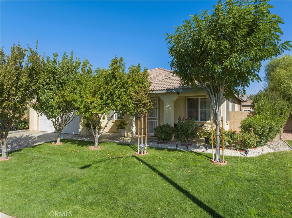 a view of a house with a yard and a tree