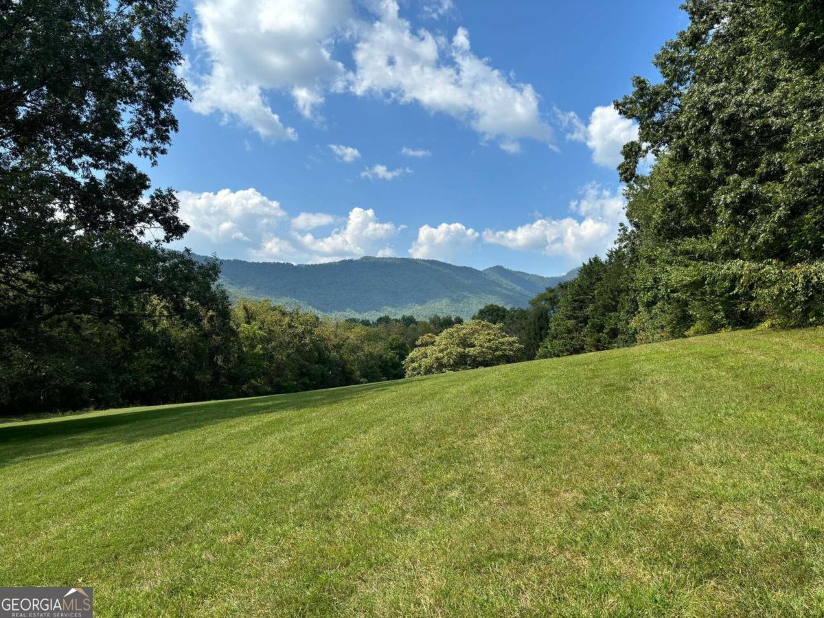 a view of a grassy field with an trees