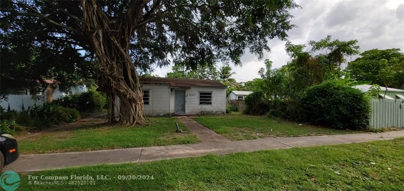 a view of a yard in front of a house with a large tree