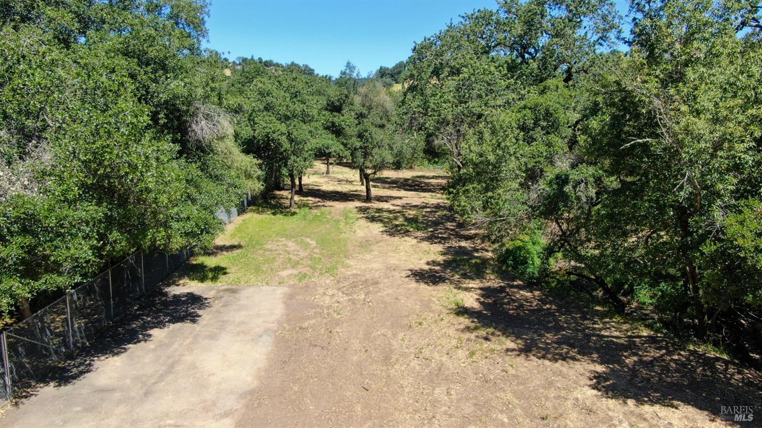 a view of a yard with trees