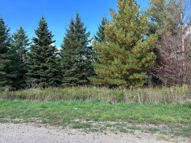 $35,000 | Lot #20 Lidstrom Road | Detroit Township - Becker County