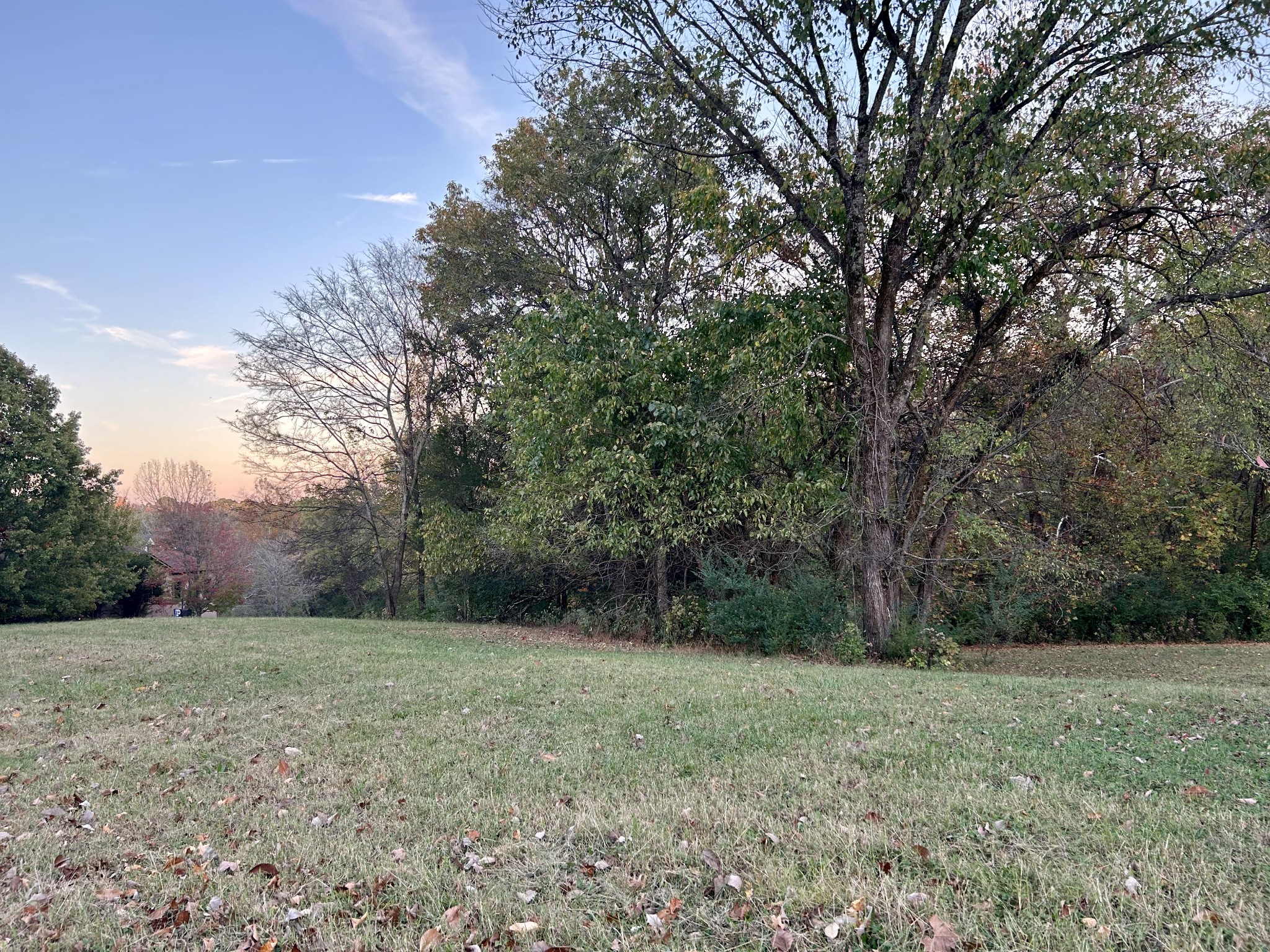 a view of a big yard with large trees