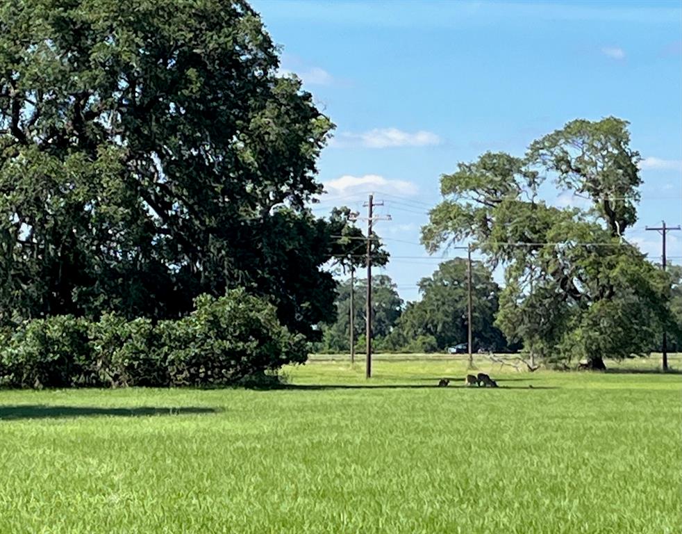 a view of a park