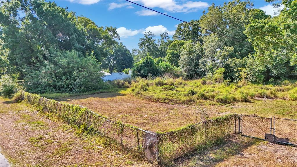 a view of a yard with an trees