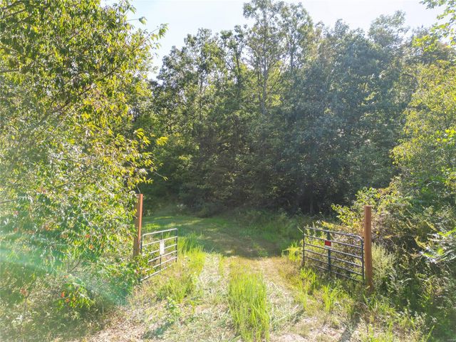 $150,000 | 0 Highway V Redford Mo 63665 | Carroll Township - Reynolds County