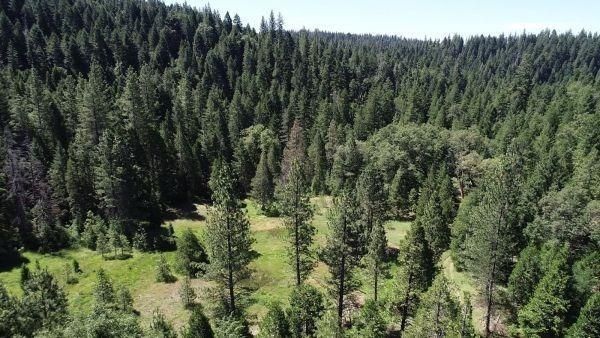 $1,225,000 | 490 Omo Ranch Road