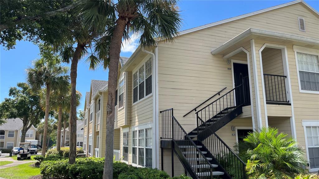 a view of a house with a palm tree