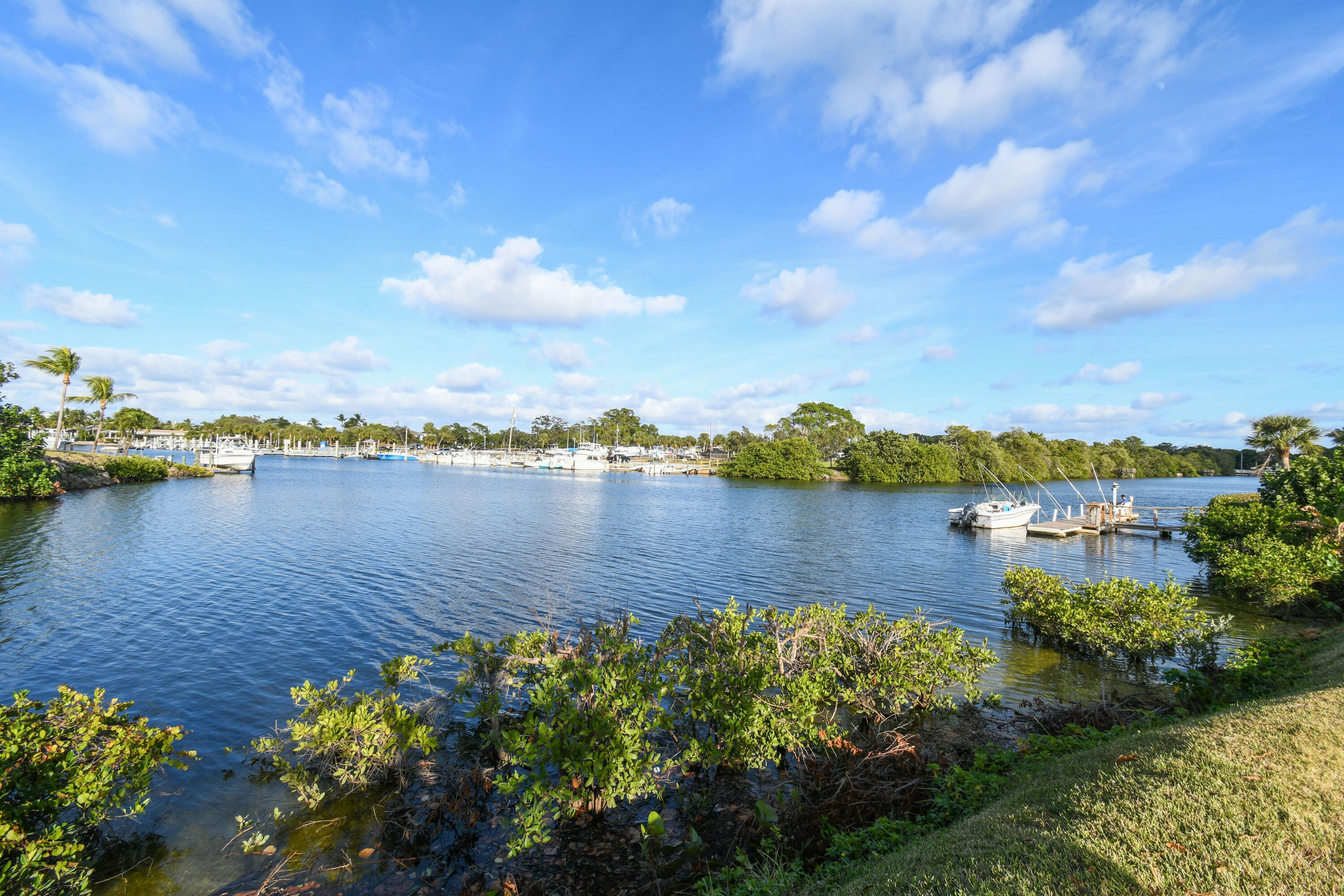 a view of a lake with houses in the back