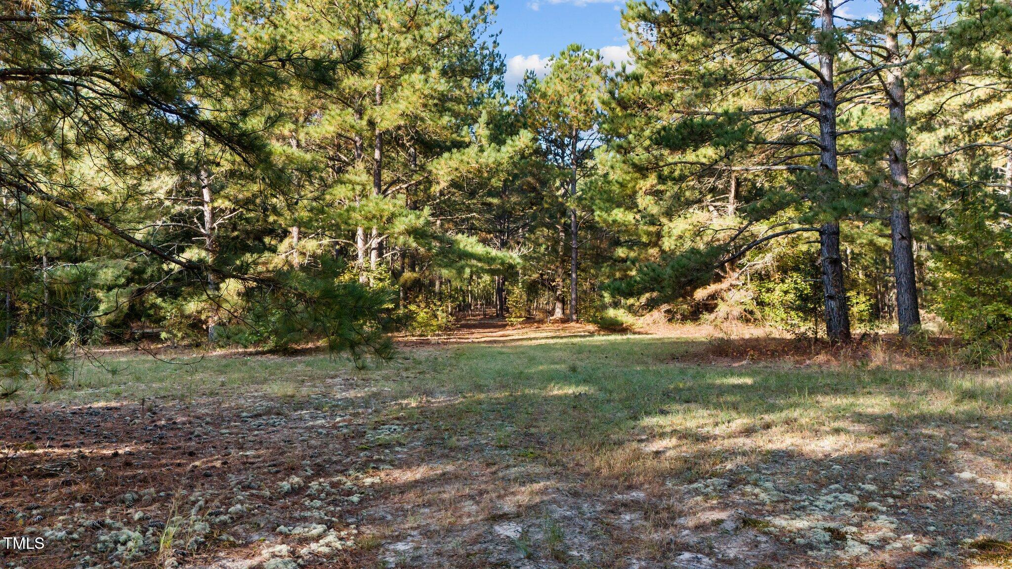 a view of outdoor space with trees