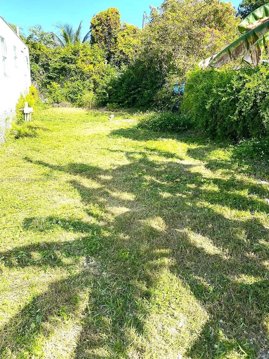 a view of a yard with a large trees