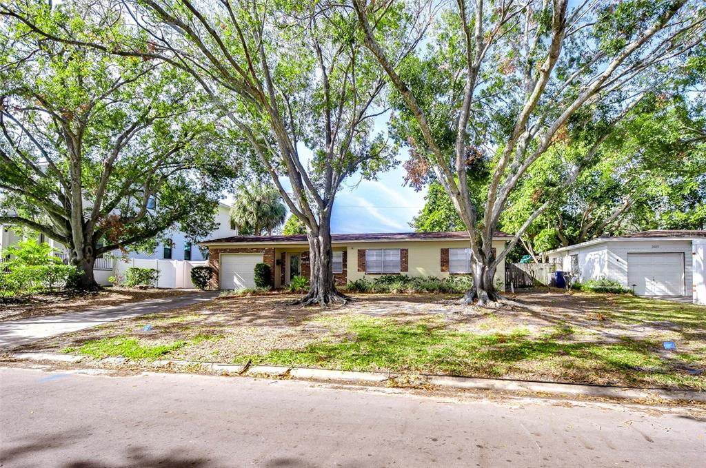 a front view of a house with yard and tree