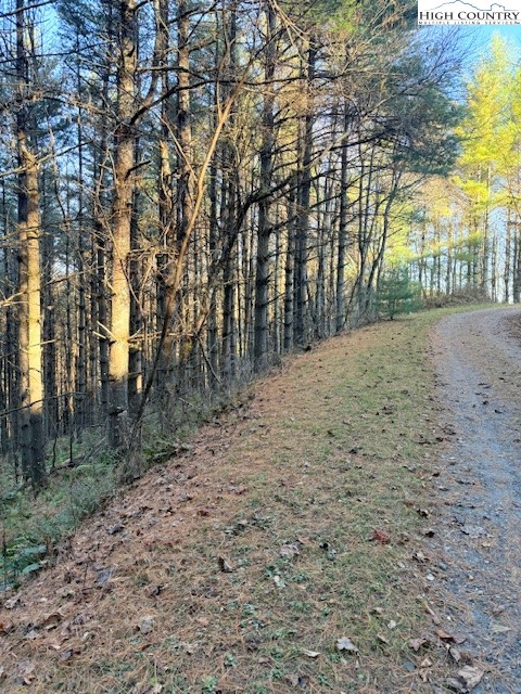 a view of road and trees