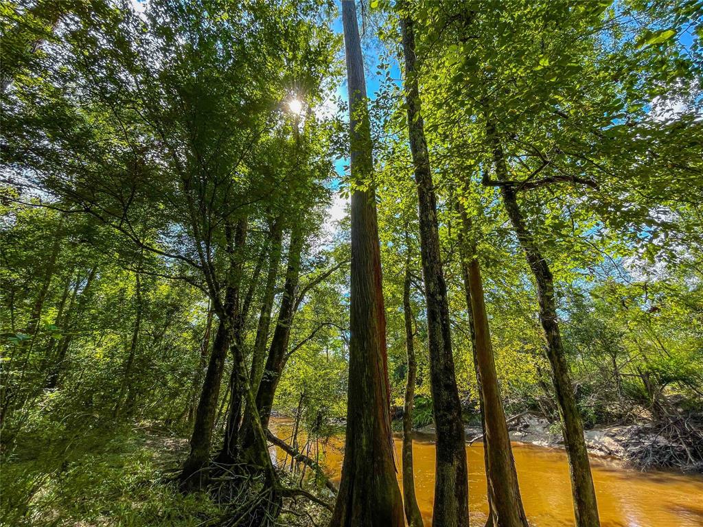 a view of outdoor space and trees