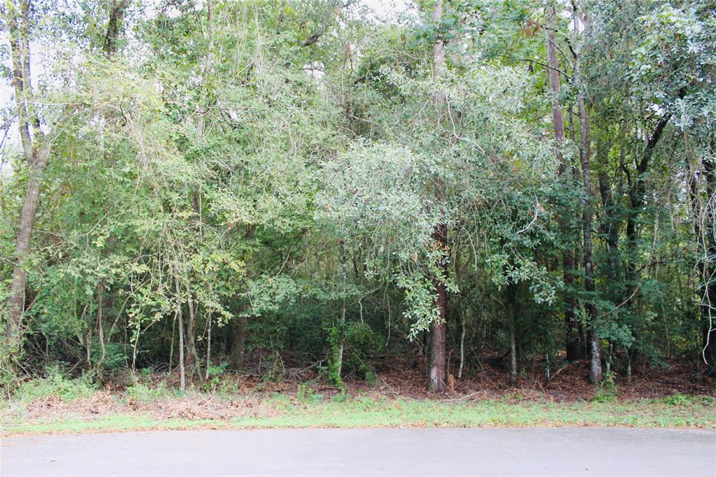 a view of green field with trees in the background