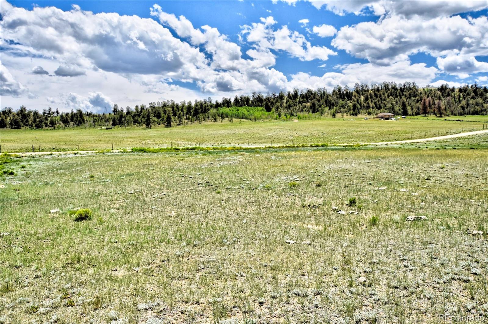 a view of a big yard with lots of green space