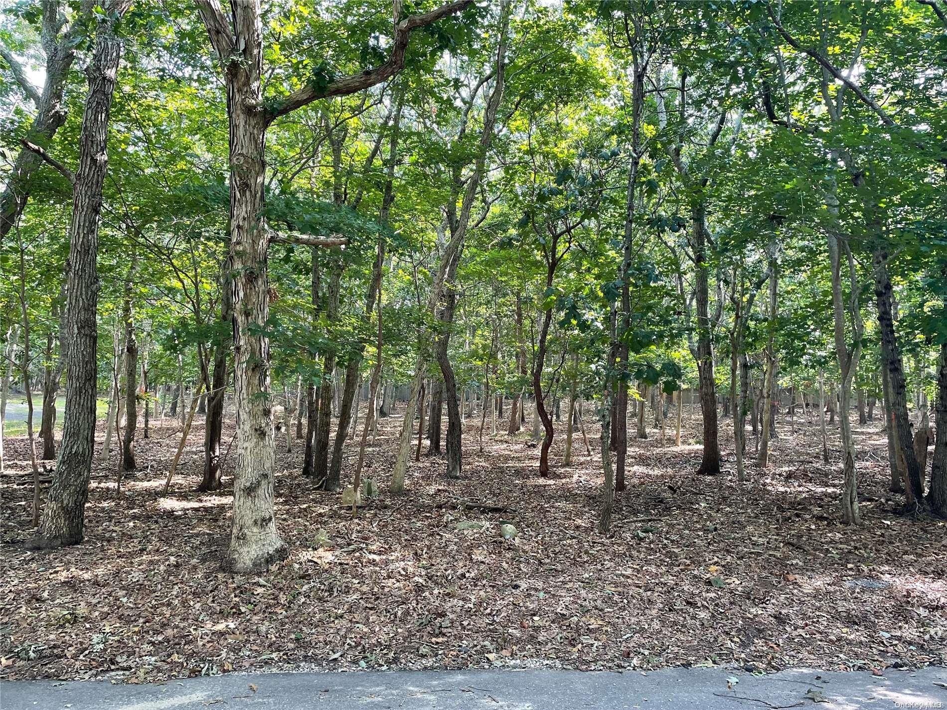 a view of outdoor space with trees