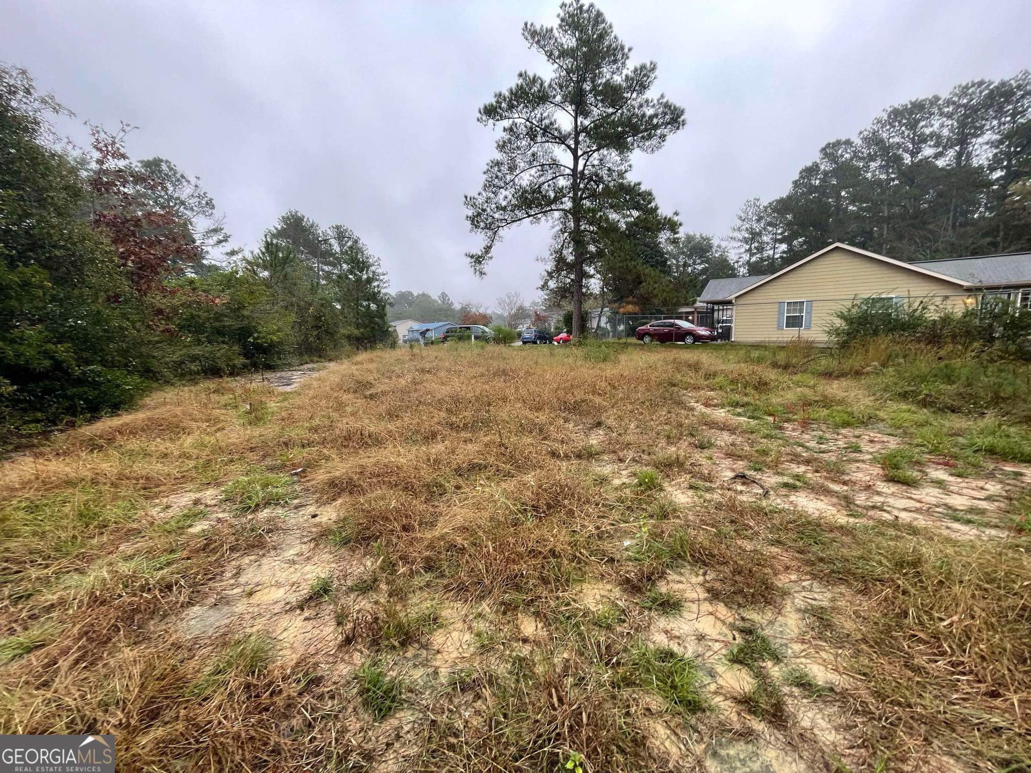 a view of a yard in front of the house