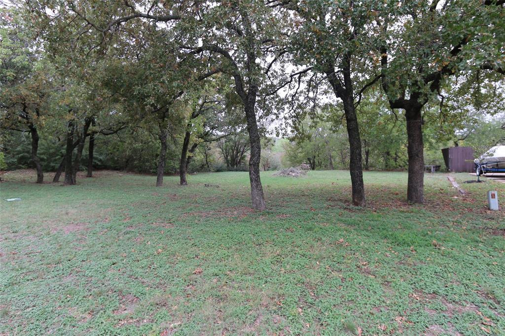 a view of a tree in a park