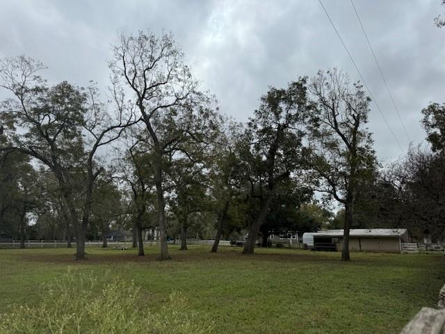 a big yard with large trees