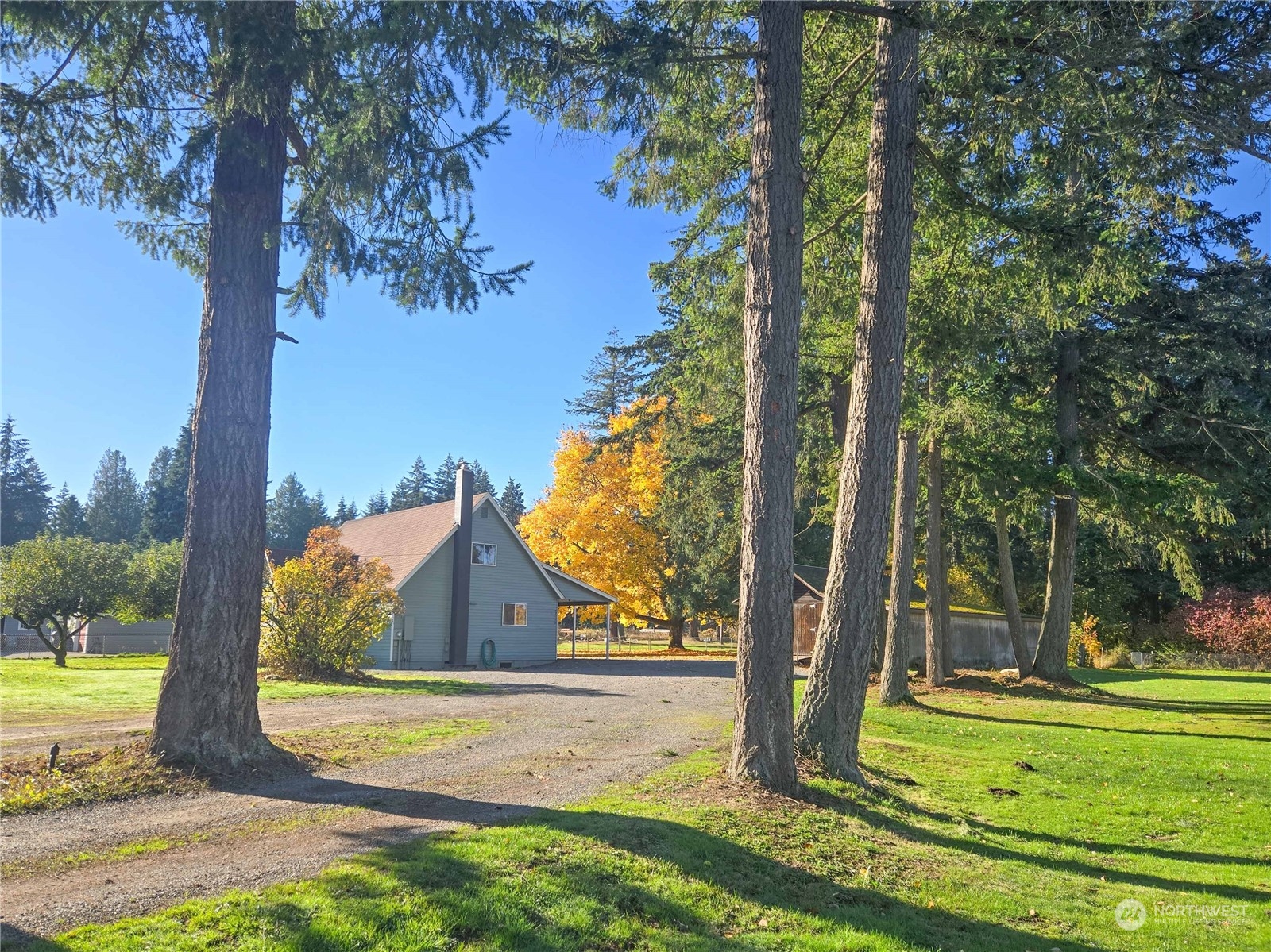 a front view of a house with a yard and trees