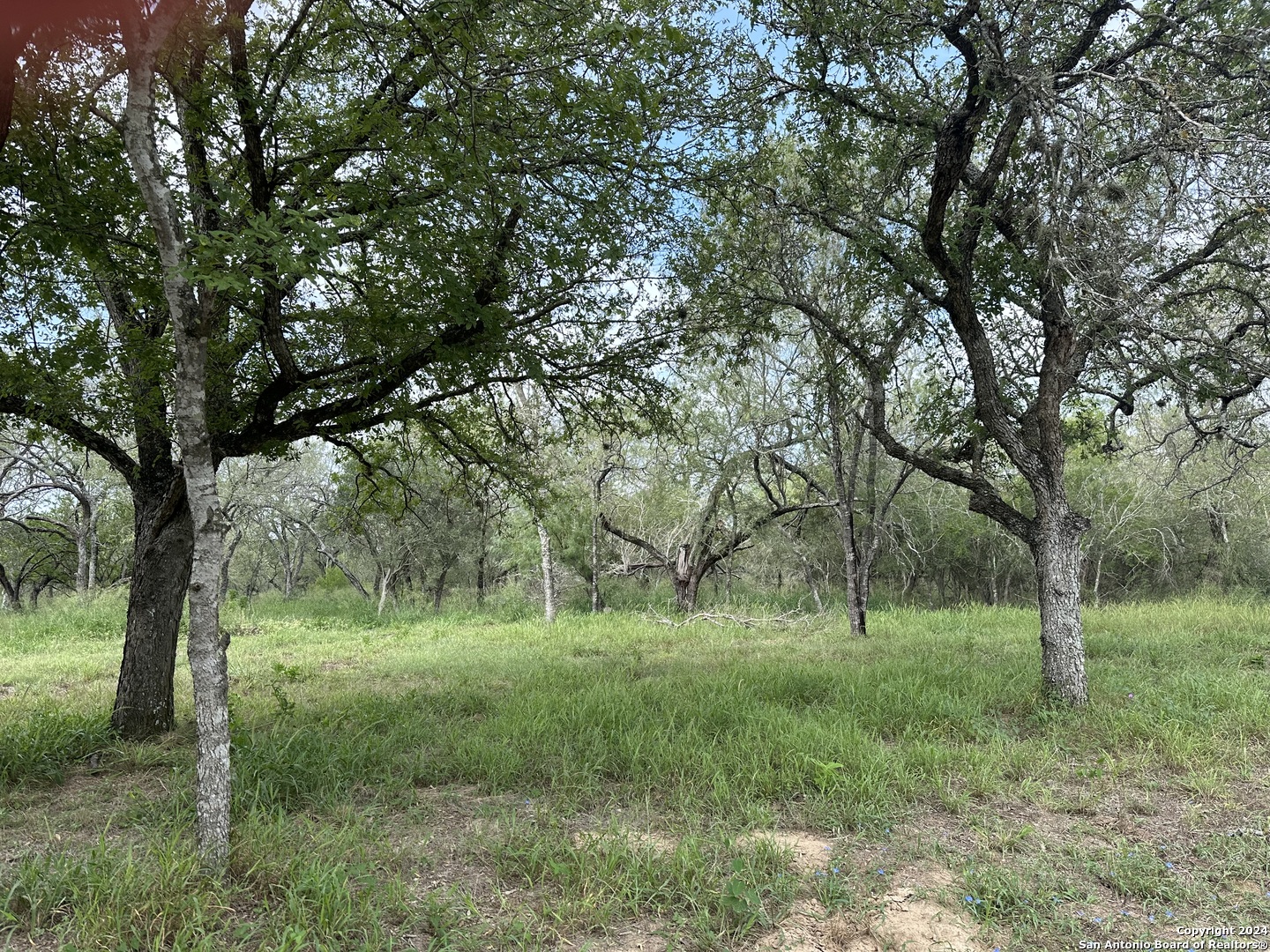 a view of outdoor space with green field and trees