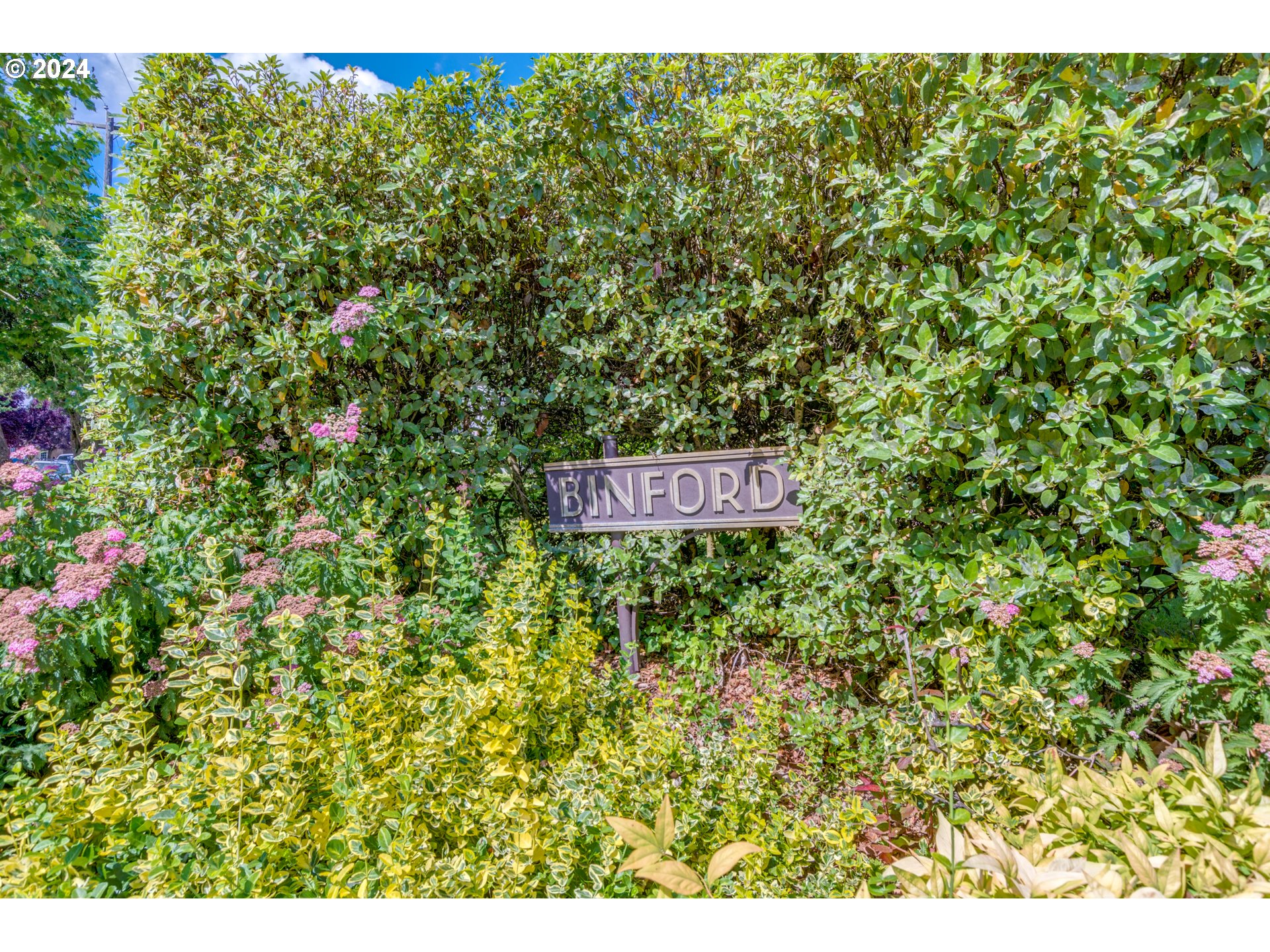 a view of a sign in a yard