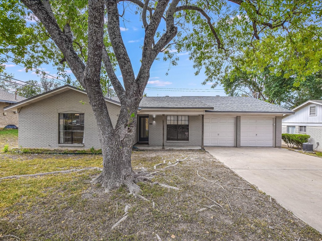 a large tree in front of a house with large trees