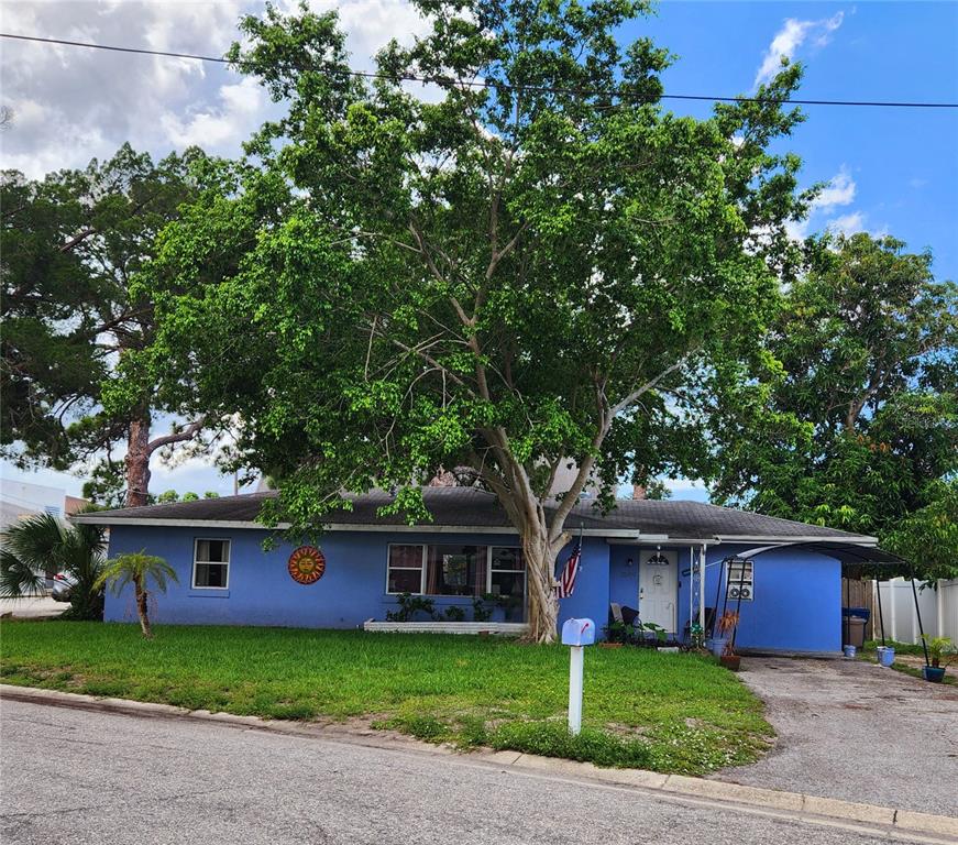 a view of a yard in front of a house with large tree