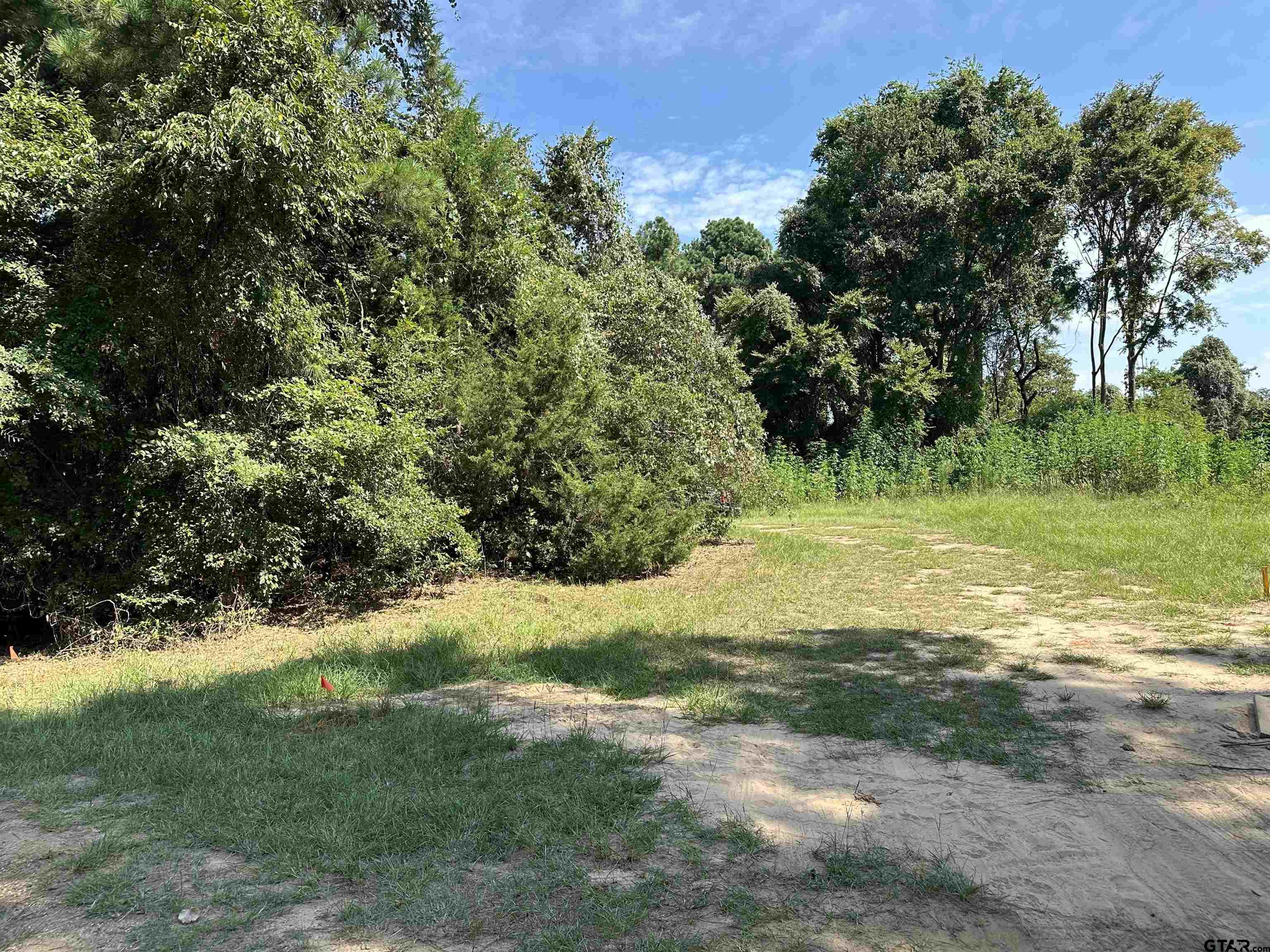 a view of a trees with a yard