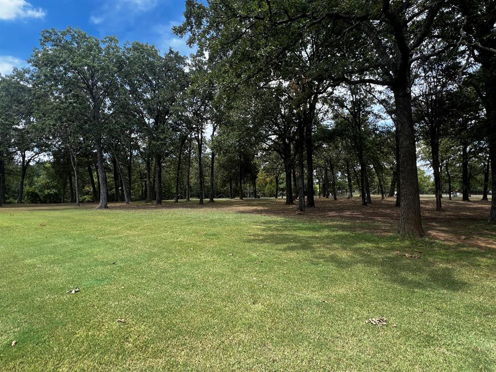 a view of outdoor space with trees all around