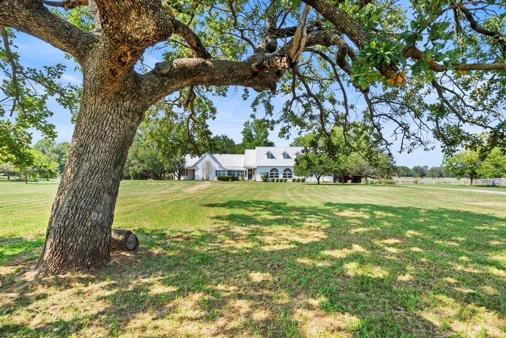 a view of a yard with a tree