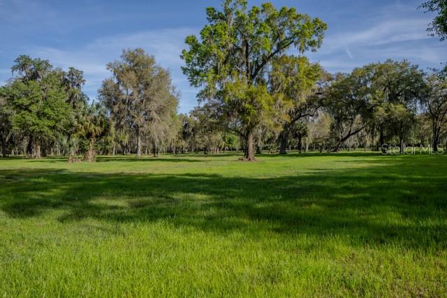 a view of a grassy field with trees