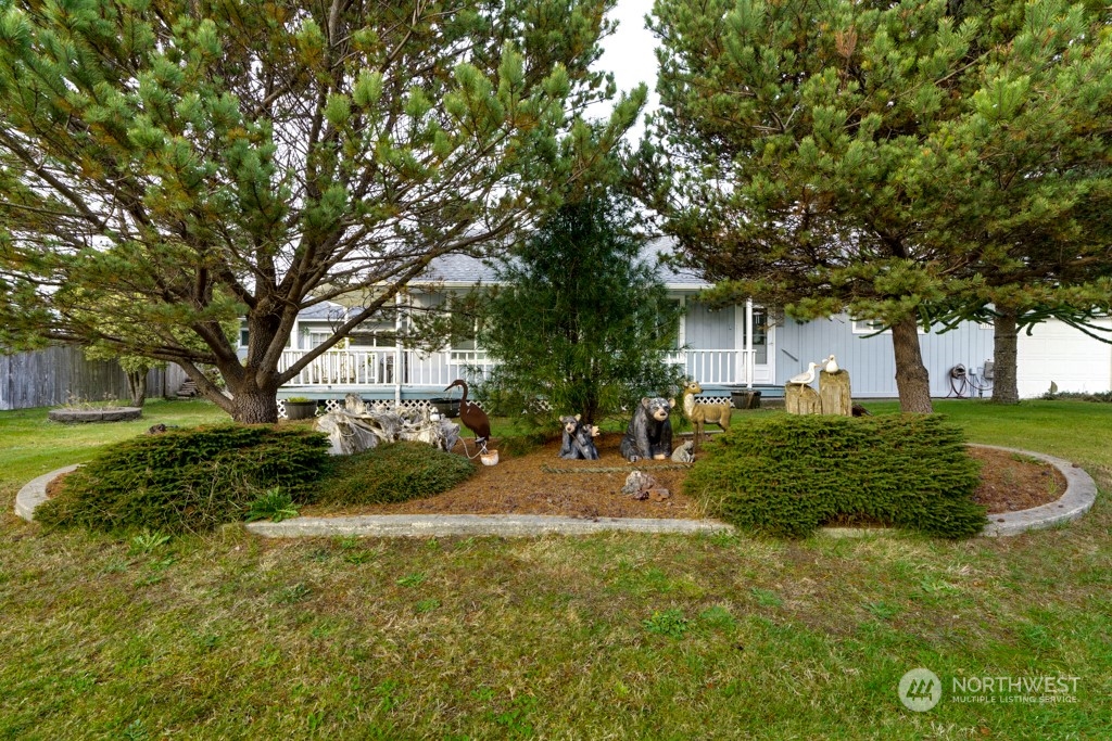 a view of a yard with plants and large trees